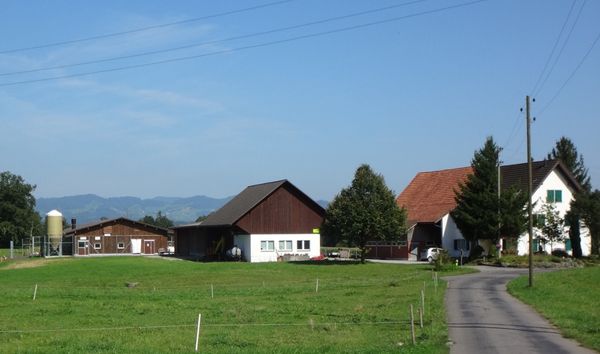 Bauernhof Anno 2017